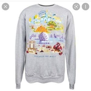 Disney world parks sweatshirt
